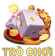 Chương Trình VIP